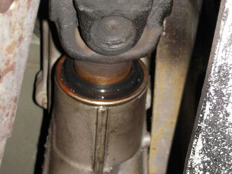 DSCN1569.jpg