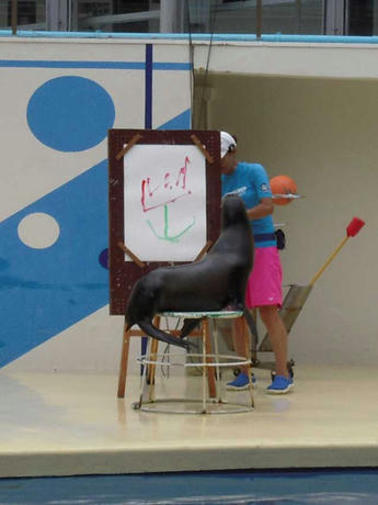 DSCN1735.jpg