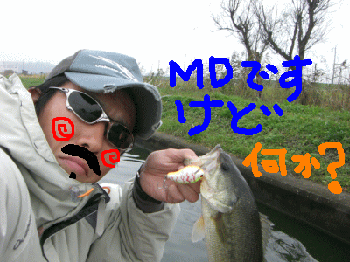 1118.gif