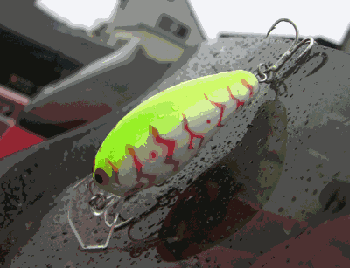 111801.gif