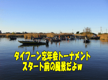 ty01.gif