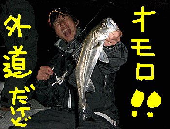 rock01.gif