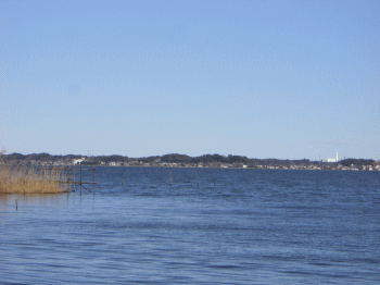 01031.gif