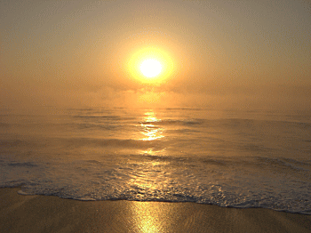 01051.gif