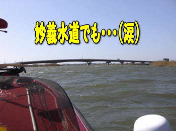02231.gif