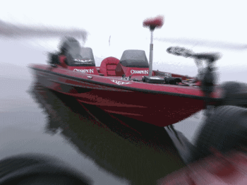 02262.gif