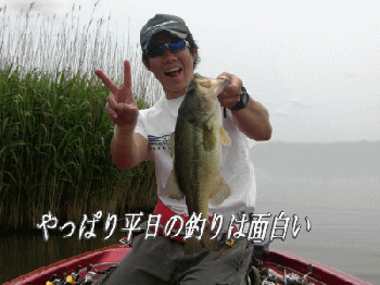 0528.gif