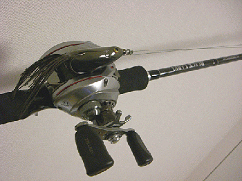frog01.gif