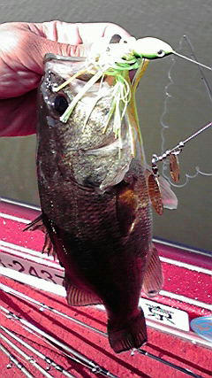 2009101511060000.jpg