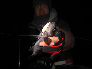 IMG_0769.JPG