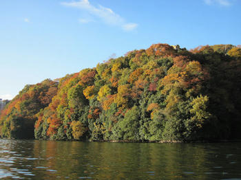 IMG_1530.JPG