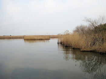 IMG_1709.JPG