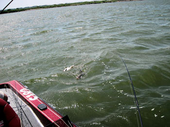 IMG_3322.JPG