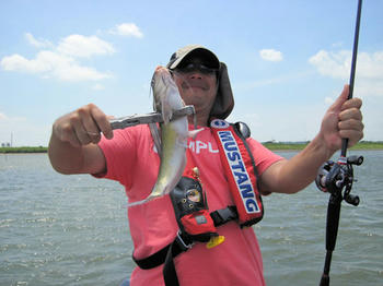 IMG_3319.JPG