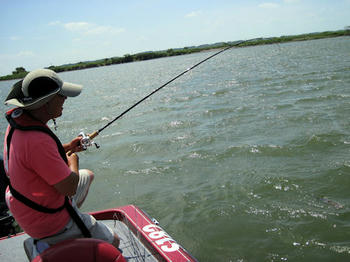 IMG_3321.JPG