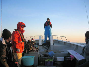 12884103_1865664909_29large.jpg