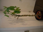 f3847ced.jpg