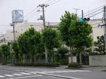 0f50b4c1.jpg