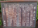 2f2aa727.JPG