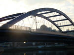 35f0b817.jpg