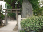 028abe28.jpg