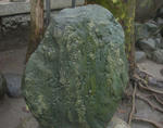 ff8a9769.JPG