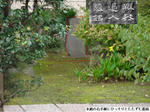ab88c2f4.jpg