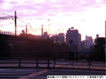 e012993a.JPG