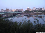 37678045.jpg