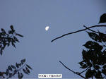 d4bbb052.jpg