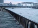 a61a68f2.jpg