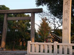 3c50d406.jpg