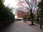 85566ddc.jpg