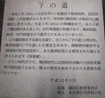 e9810d2f.JPG