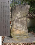 f0a1c892.JPG