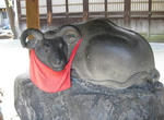 c7d485ea.JPG