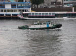 cf29b717.jpg