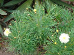 f6990503.jpg