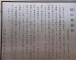 124f6bd5.jpg