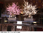 73a86d48.jpg
