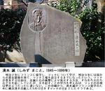 410a226c.jpg