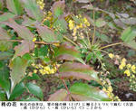 efdbc8b5.jpg