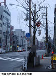 9ca72628.jpg