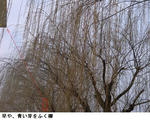 e1004ab0.jpg