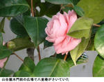 fe031a41.jpg