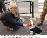 6f03ba81.jpg