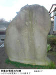28702f9d.jpg