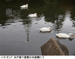 7b6eb770.jpg