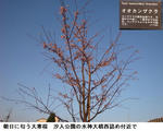 e96e8304.jpg