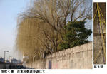 e7cc0003.jpg